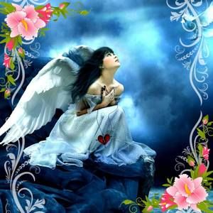 Meet your Posher, Lucha